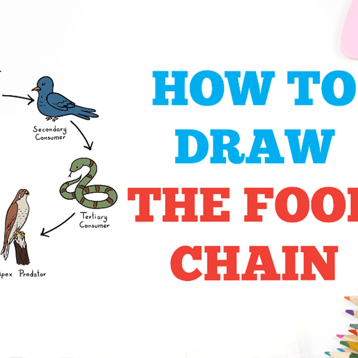 Food Chain'', Drawing by Clynton Knight | Artmajeur-saigonsouth.com.vn