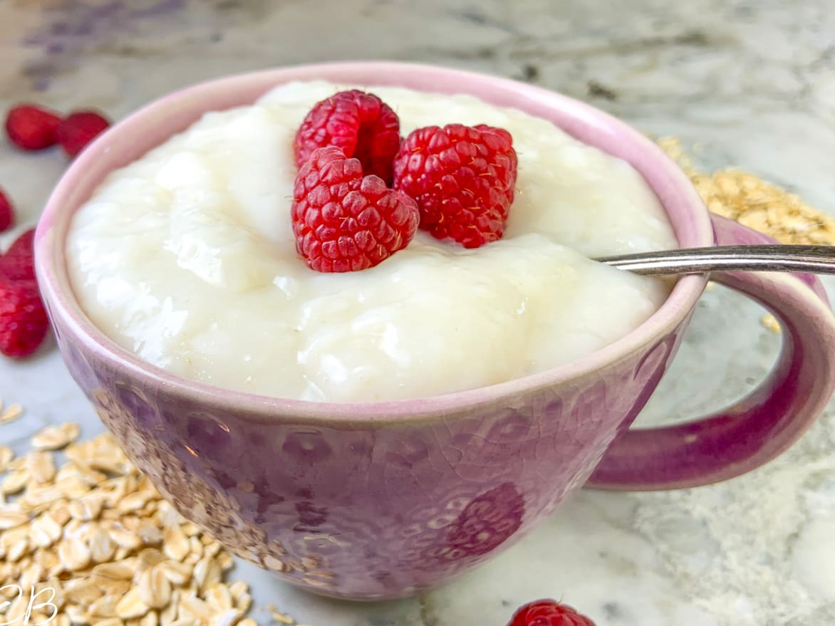 Probiotic Maker™ Protein Shake Maker Kefir Maker Yogurt Maker.
