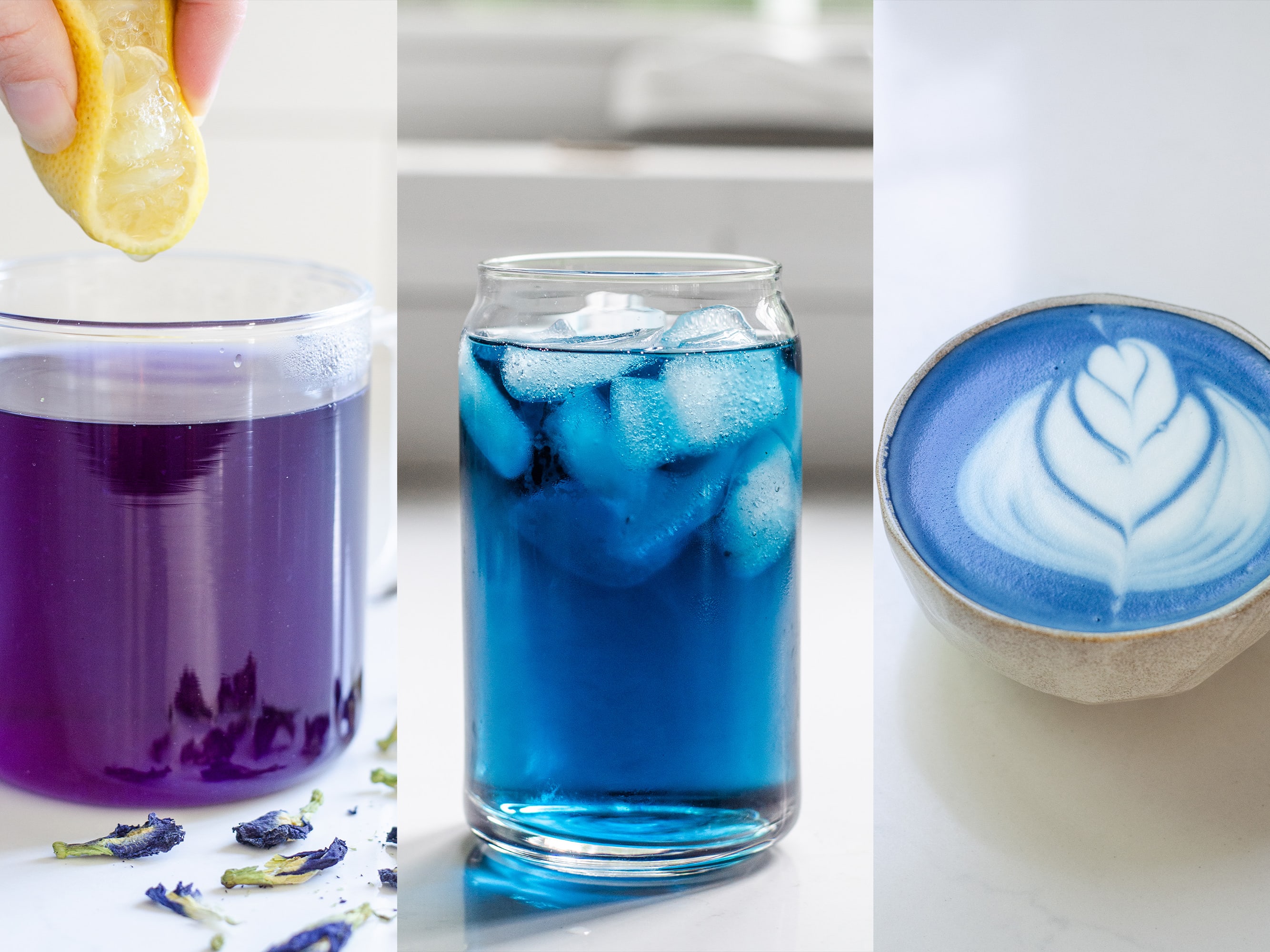 Butterfly Pea Flower Tea Easy Recipe + benefits of drinking blue tea -  Simple Loose Leaf Tea Company