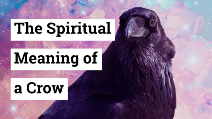 Crows In Dreams: Spiritual Messages, Symbolism & Mysteries