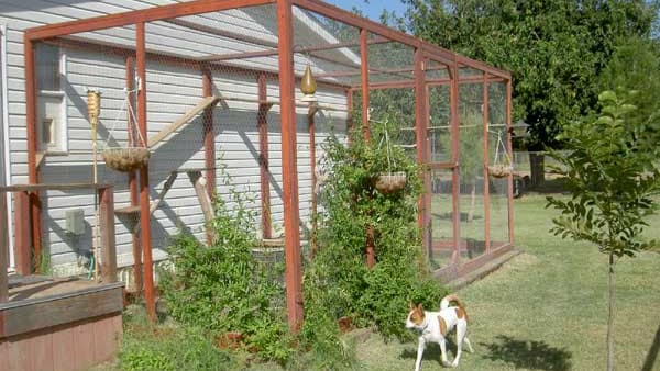 DIY Cat Enclosure