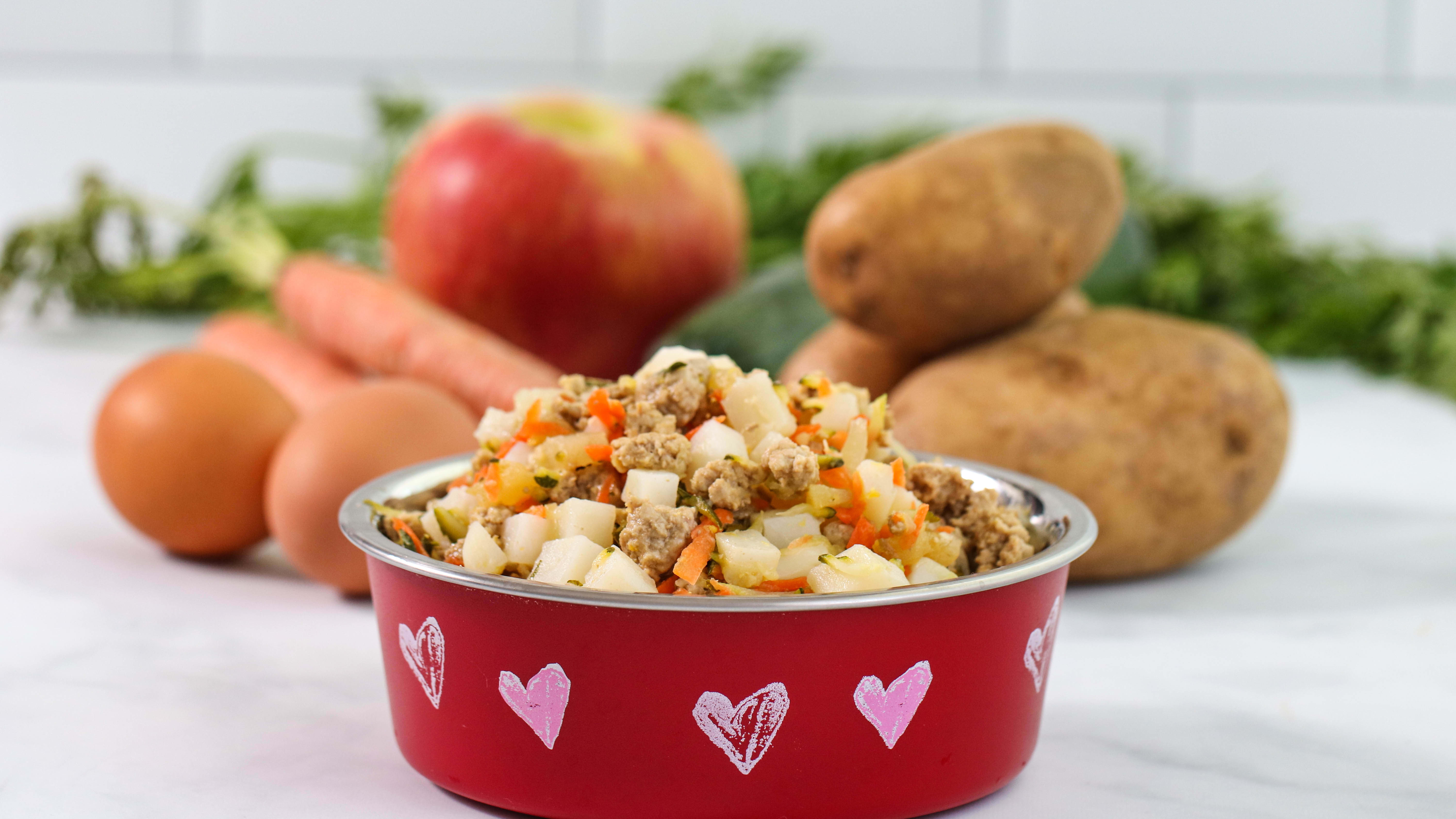 Is cooked ground turkey good for dogs 2025