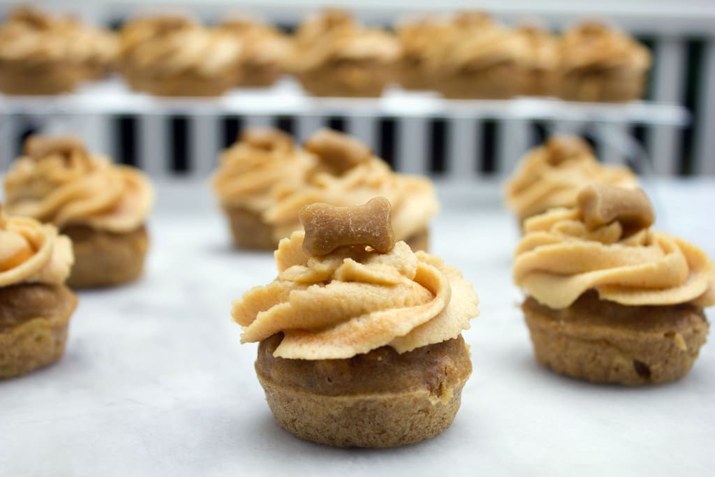 Dog friendly cupcake recipes discount