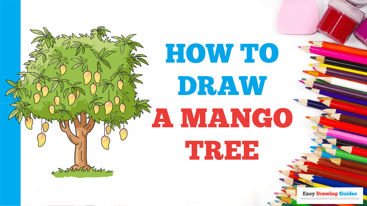 drawing of a mango tree - Clip Art Library-saigonsouth.com.vn