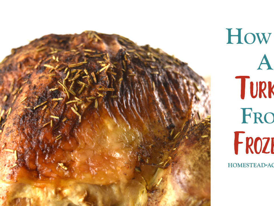 The Easiest Way to Roast A Turkey – Even If It's Frozen!