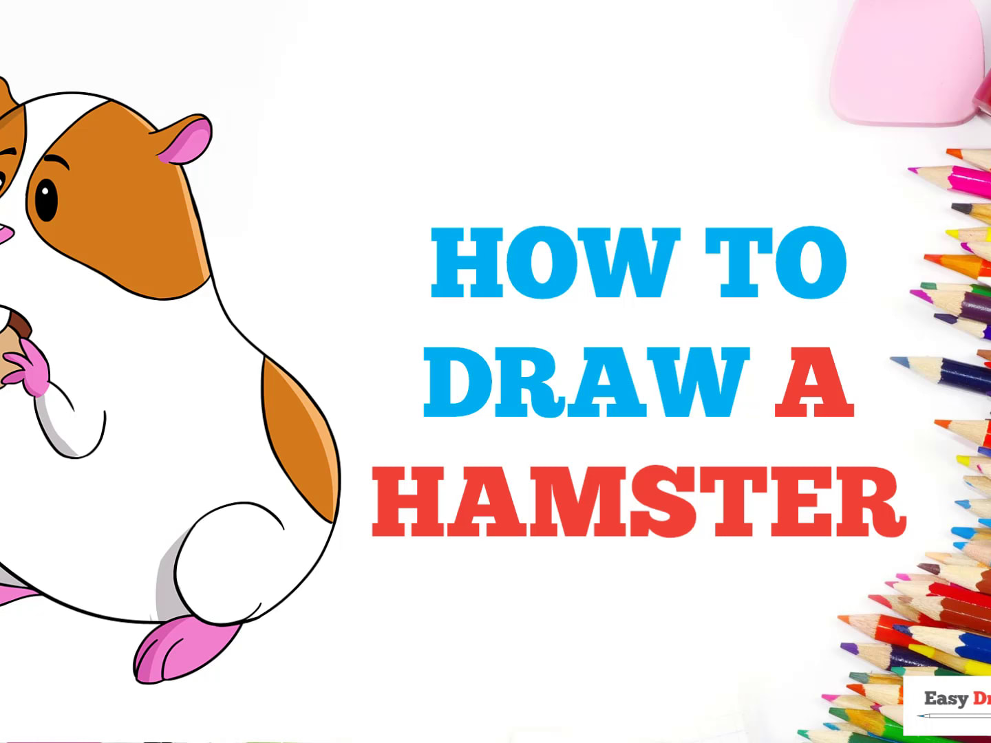 How to Draw a Hamster - Really Easy Drawing Tutorial How to Draw a Hamster - Really Easy Drawing Tutorial