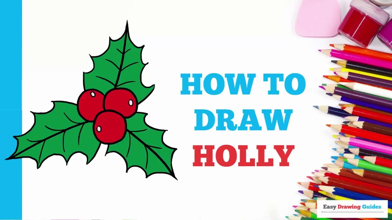 How To Draw Christmas Holly, Step by Step, Drawing Guide, by Dawn