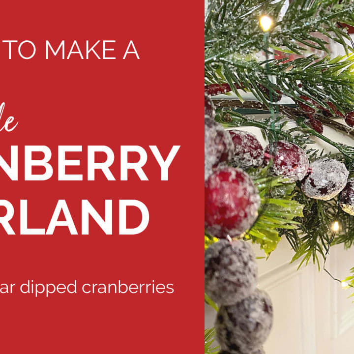 DIY Cranberry Garland - Tulips and Twill