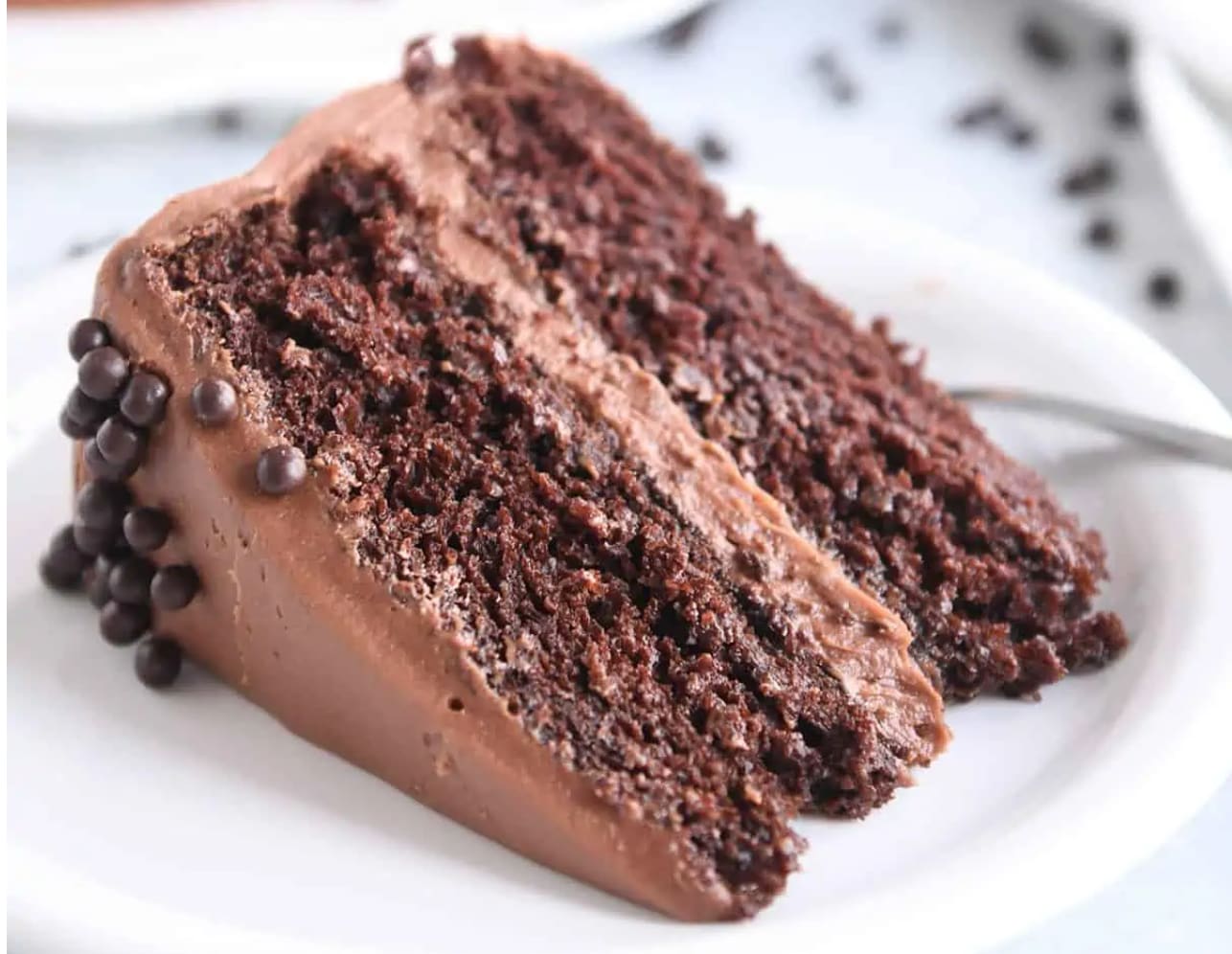 9-Inch Chocolate Cake Recipe - Insanely Good