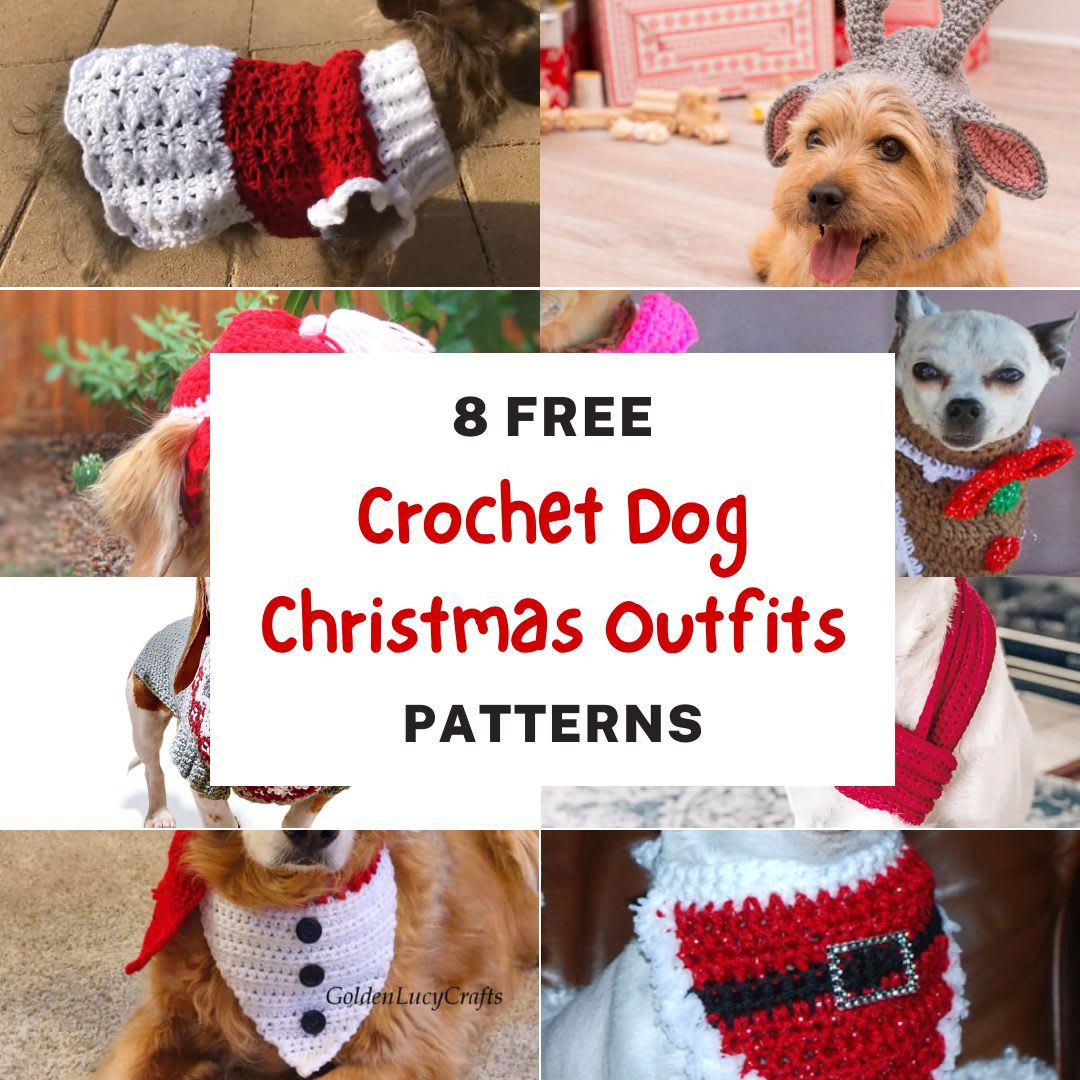 Crochet dog best sale christmas sweater pattern
