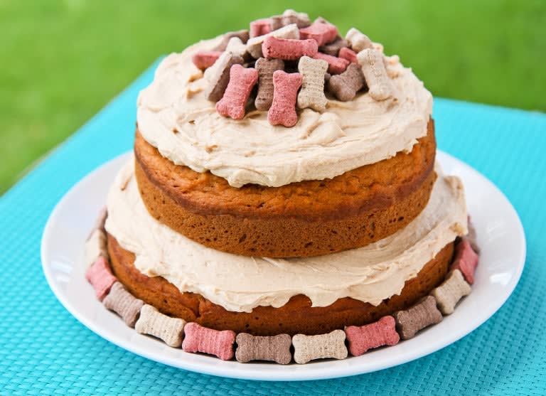 Birthday Cake For Dogs Ideas & Recipes (With Pictures)