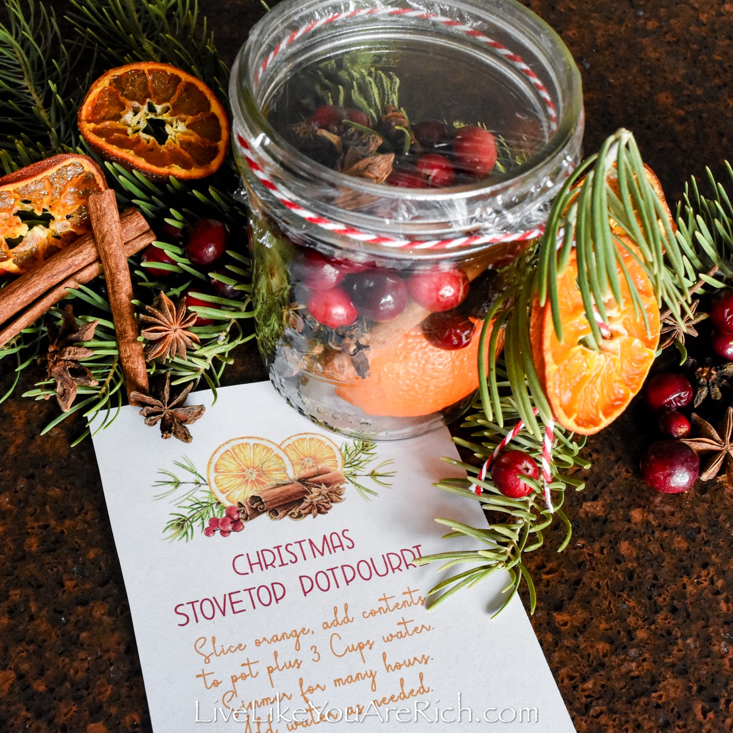 Christmas in a Jar: Stovetop Potpourri - Lovely Lucky Life