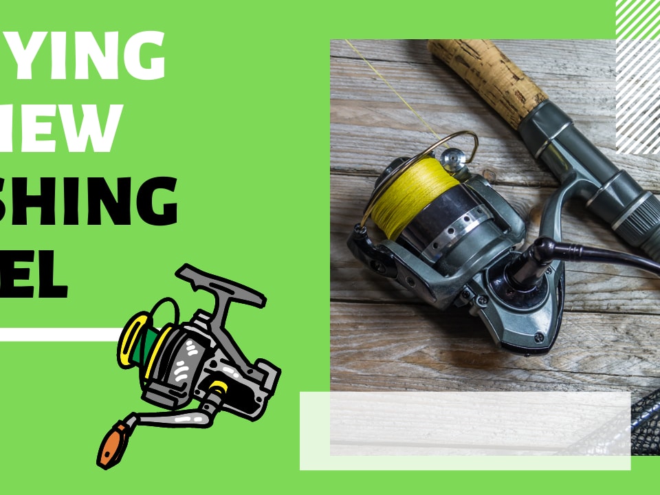 These are the Best Japanese Made Fishing Reels [Updated]