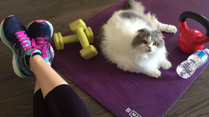 The Best Yoga Mats for Bad Knees