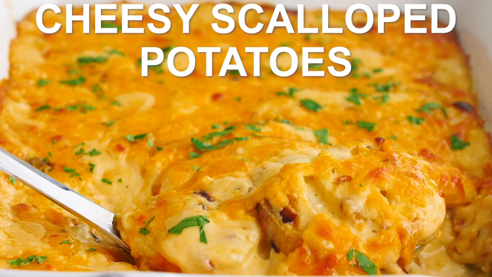 Cheesy Scalloped Potatoes • Kroll's Korner