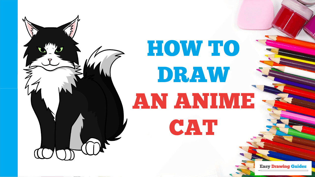 How to Draw an Anime Cat - Easy Step by Step Tutorial