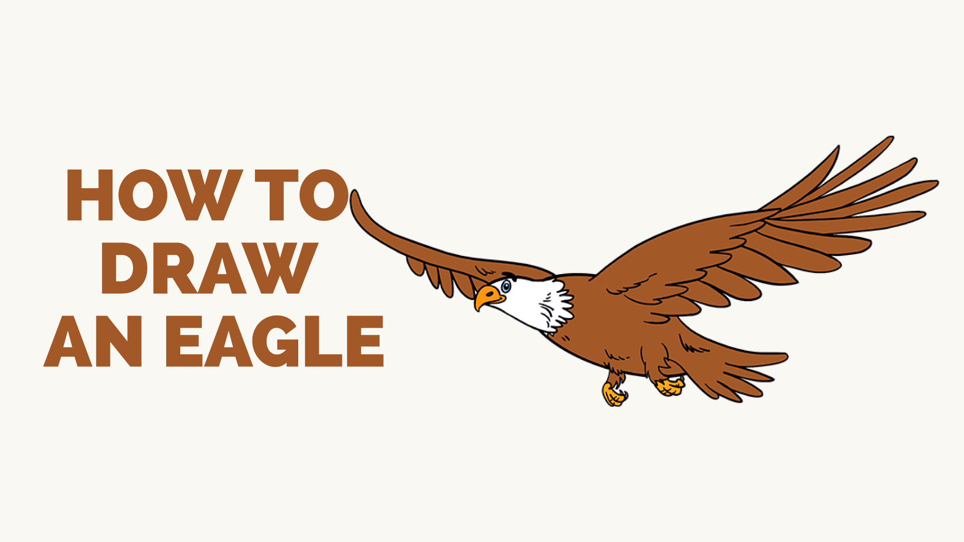 How to draw an eagle in a few easy steps easy drawing guides