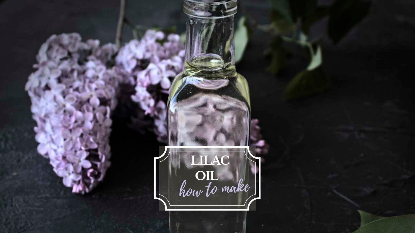 Homemade store lilac perfume