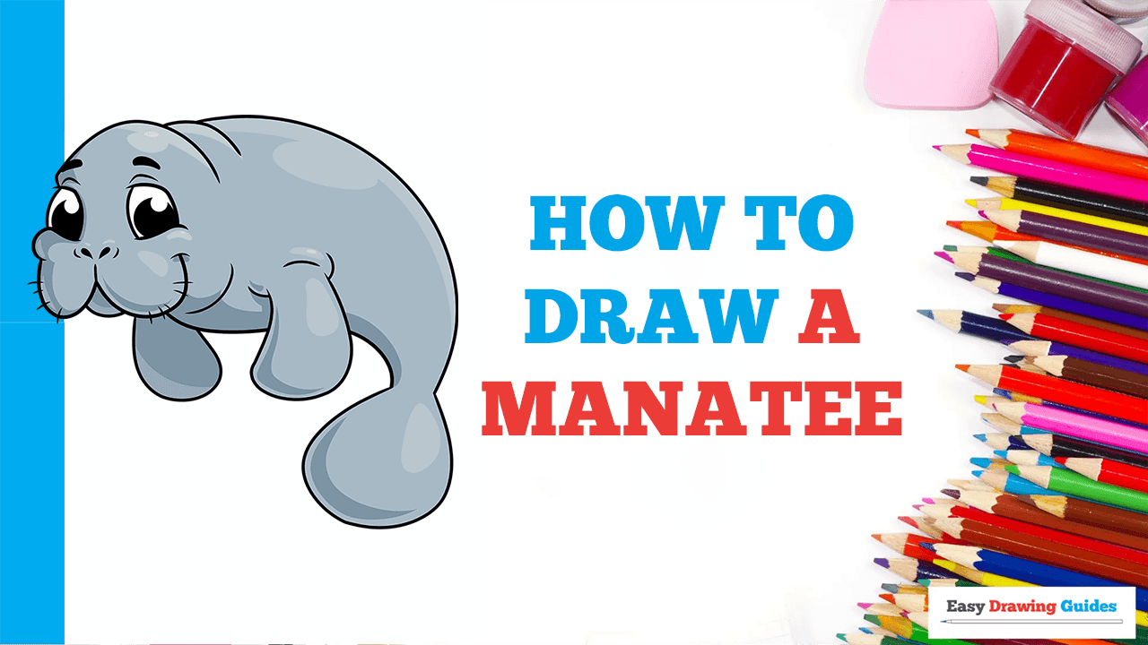 Sunday Sketch: Manatee Mammaries