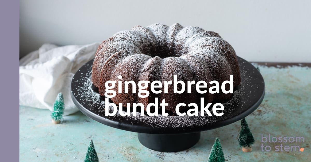 Gingerbread Bundt Cake ~ Barley & Sage