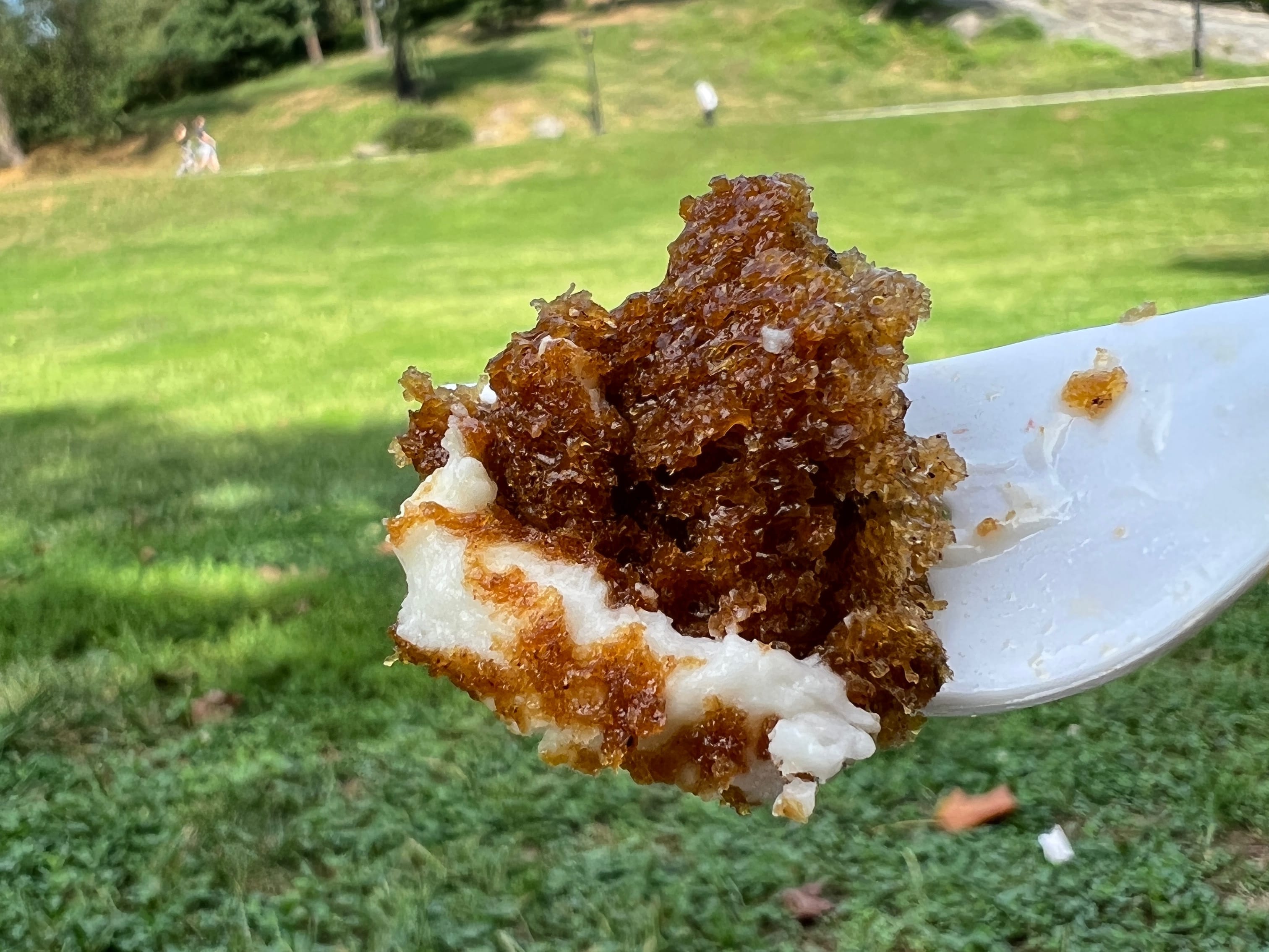 A Slice of Heaven in the Bronx: The Lloyd's Carrot Cake Experience
