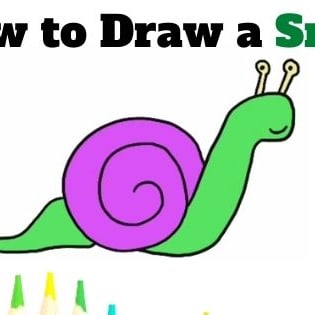 How to Draw a Snail - Easy Step-By-Step Video - Paper Flo Designs