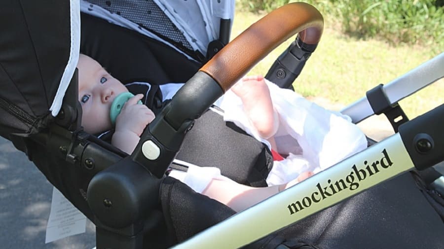 Old uppababy vista online