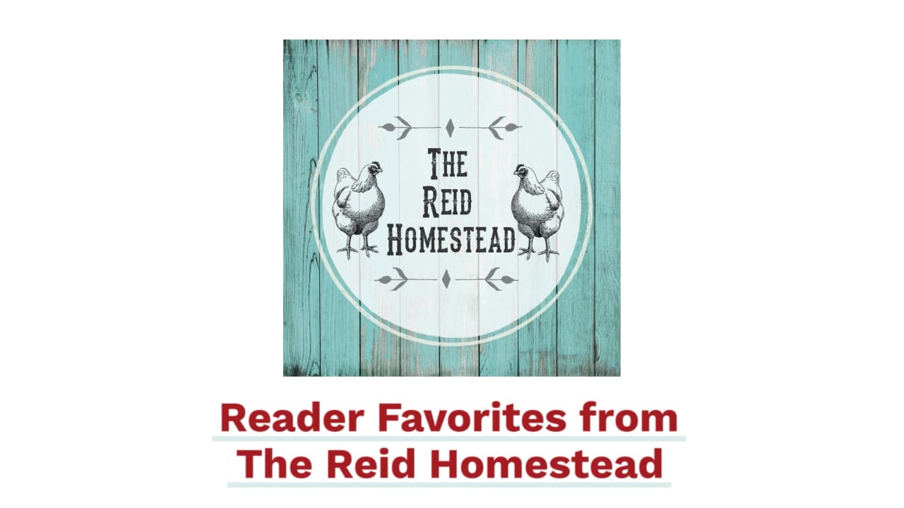 Shop Our Homestead Favorites - The Reid Homestead