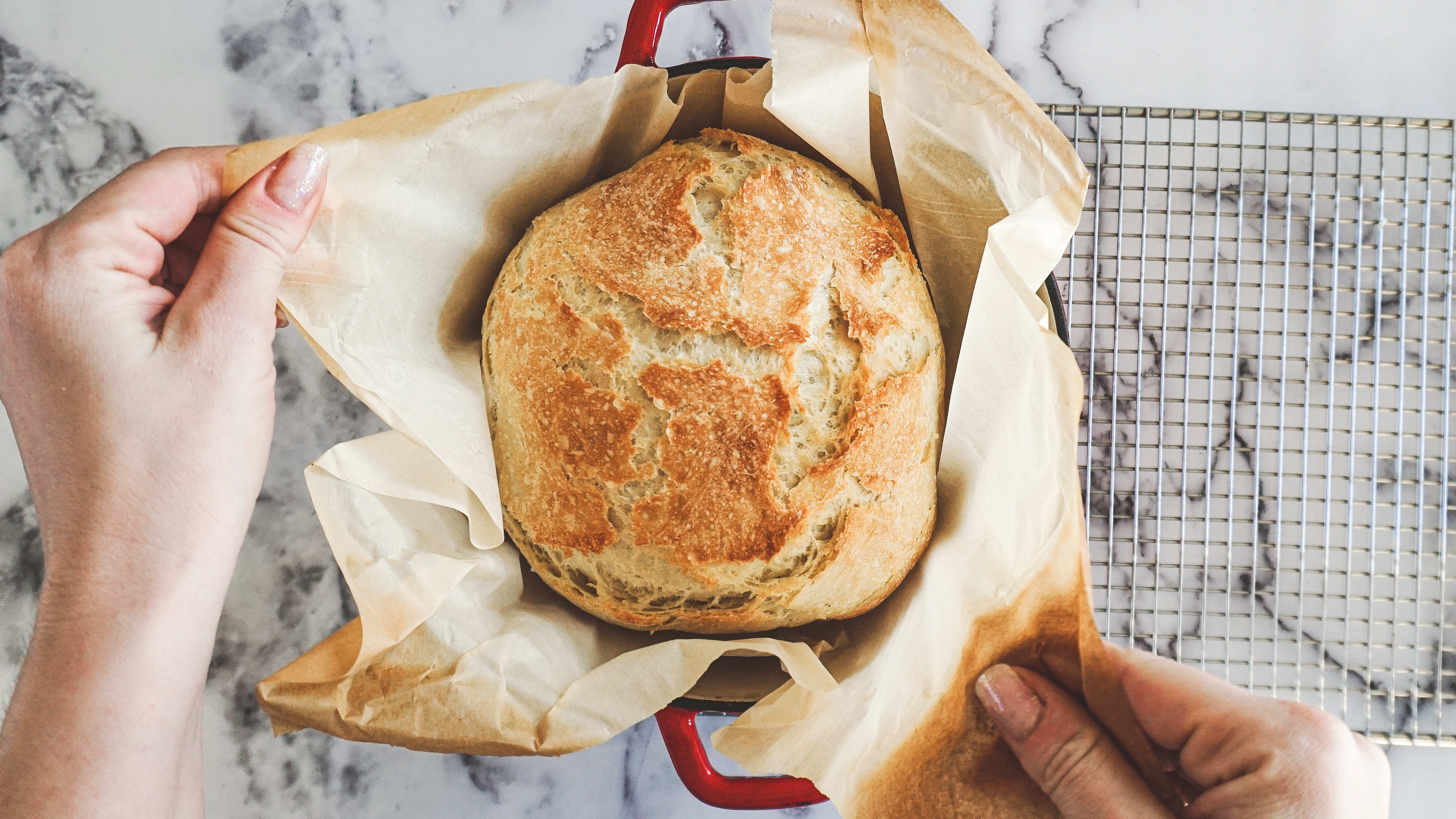 Dutch Oven No Knead Bread (with perfect crusty crust!) - Bowl of
