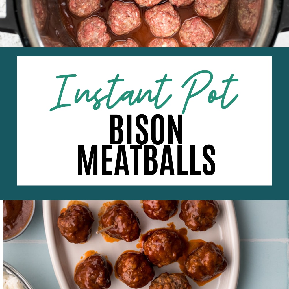 Instant cheap pot bison