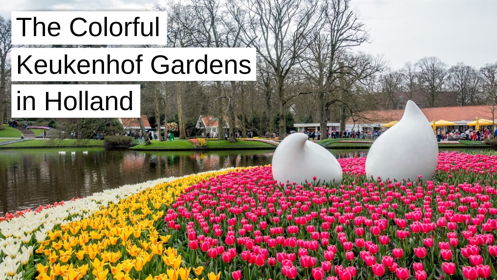 Spelen met draadloos Grand Tips for Visiting Keukenhof Gardens and the Tulip Fields in the Netherlands