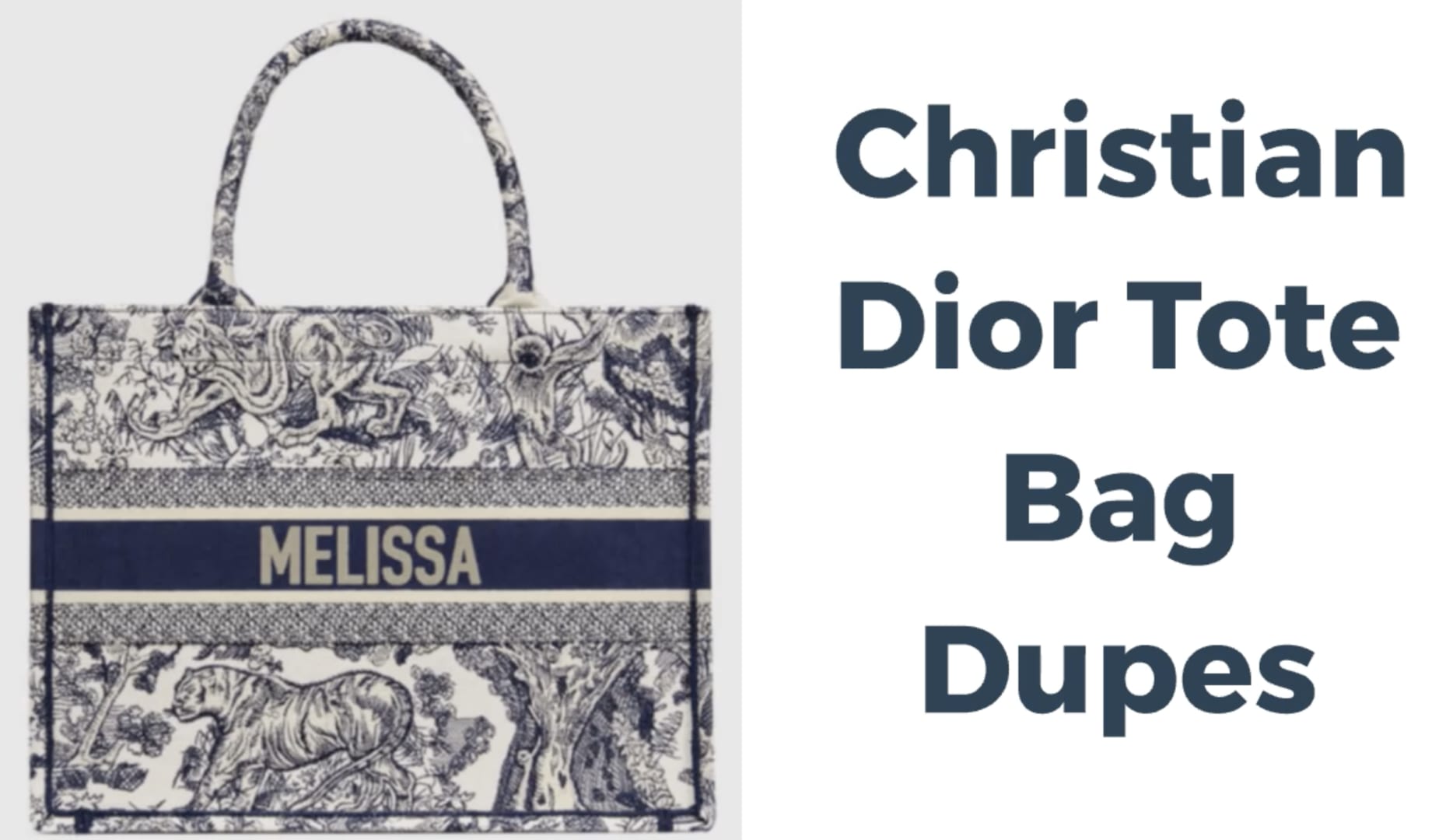 13 Dior book tote dupes that are affordable