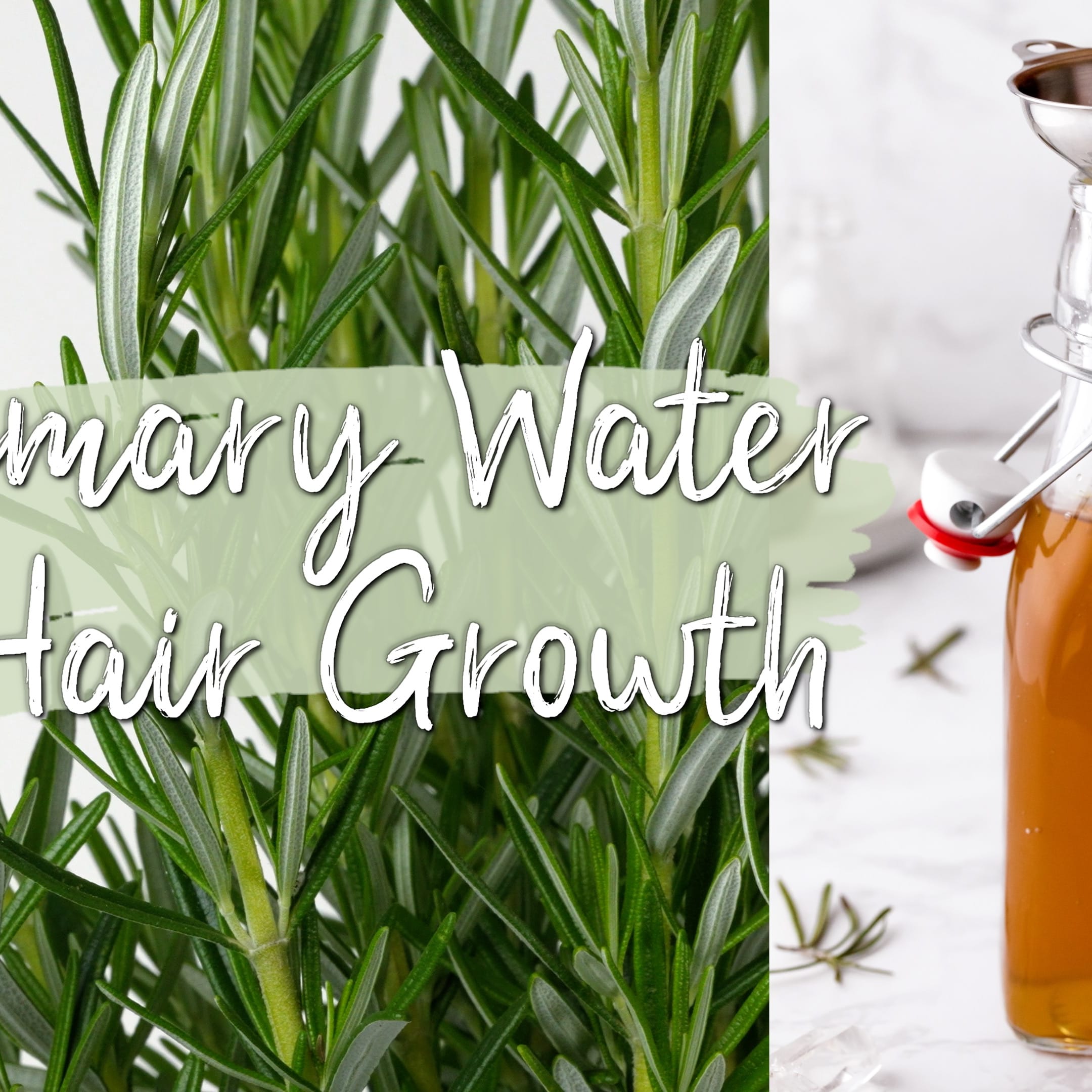 Does Rosemary Water Make Your Hair Grow Faster?