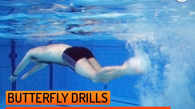 Butterfly kick swimming drills best sale