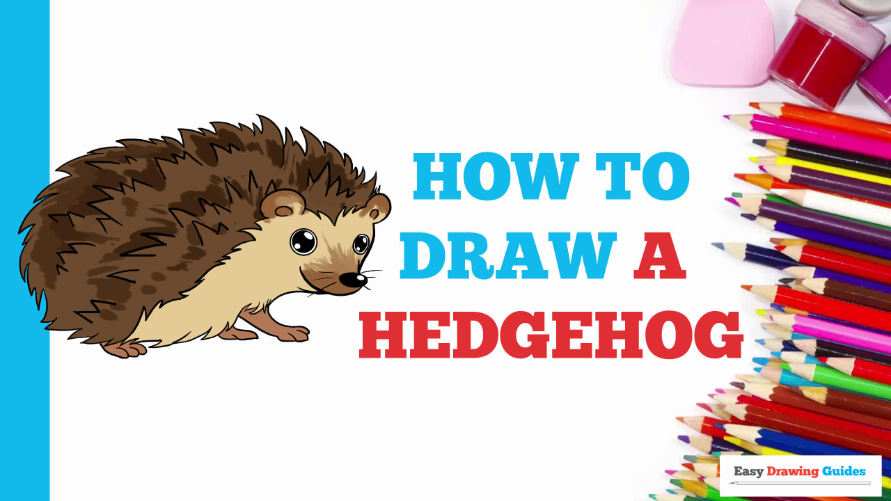 How to Draw a Hedgehog - Really Easy Drawing Tutorial