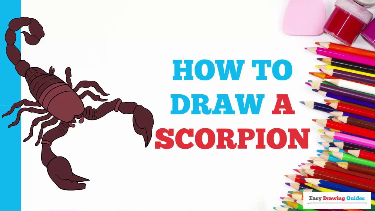 How to Draw a Scorpion - Really Easy Drawing Tutorial