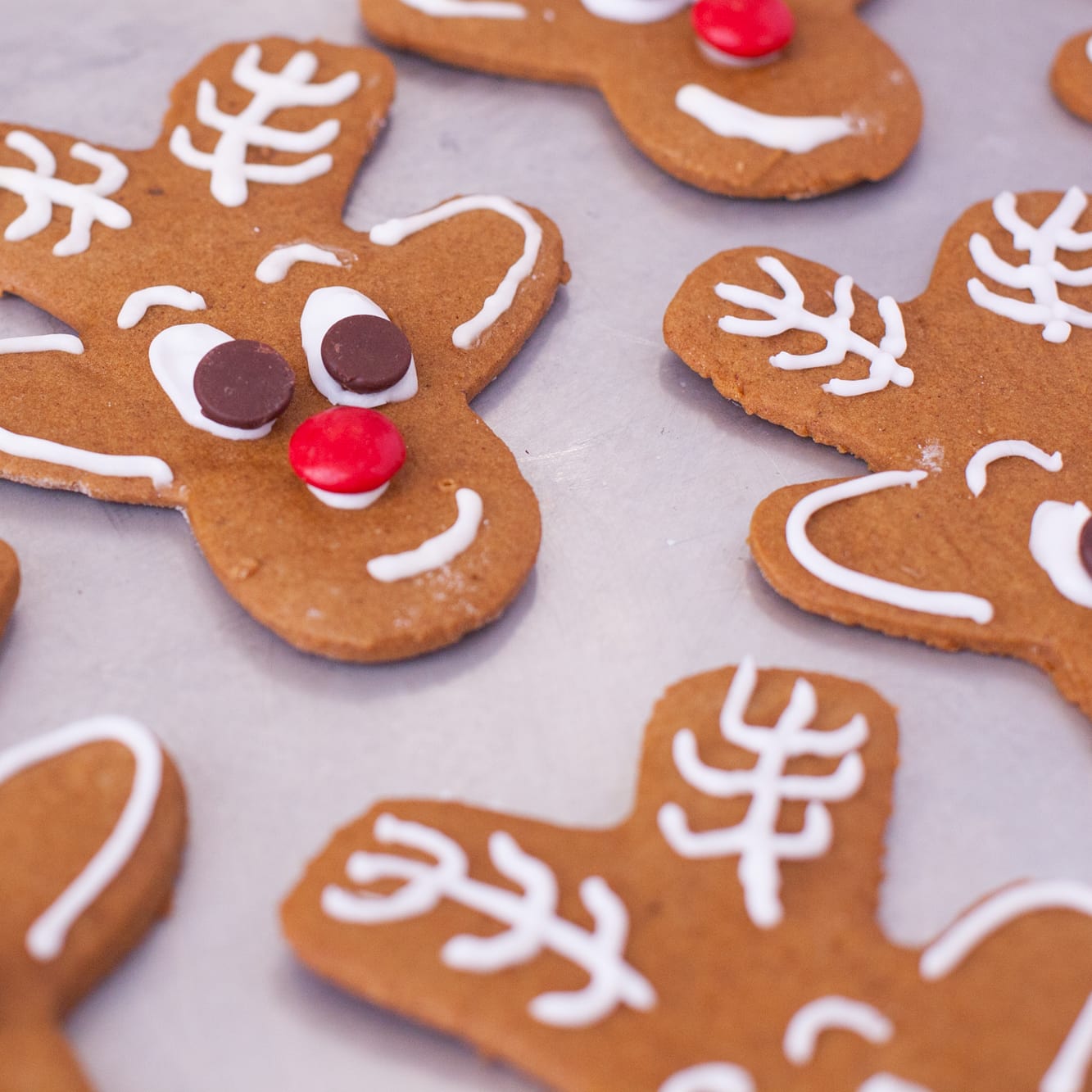 Reindeer gingerbread clearance cookies