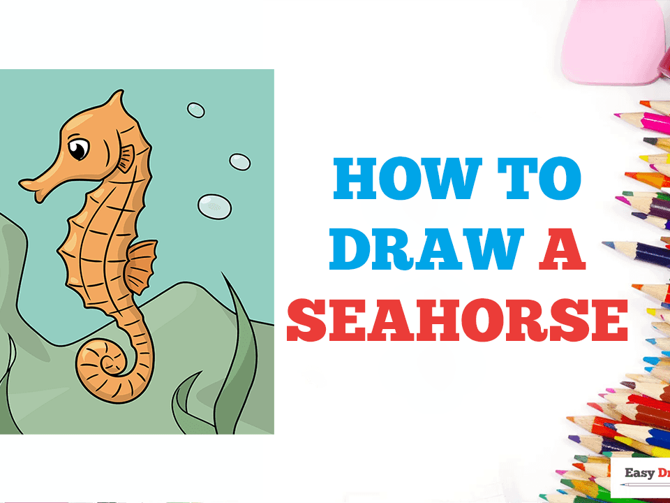 How to Draw a Seahorse - Really Easy Drawing Tutorial