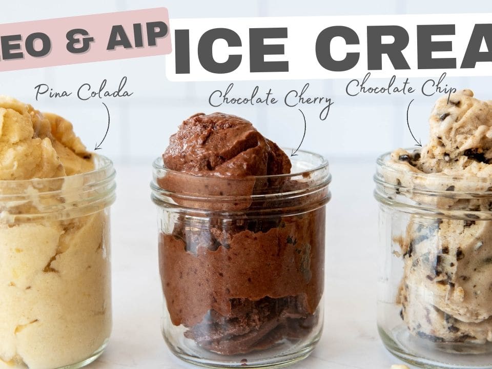 3 Ice Creams Paleo and AIP