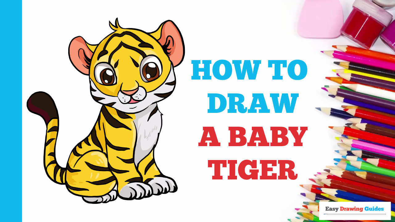 How to Draw a Baby Tiger - Really Easy Drawing Tutorial