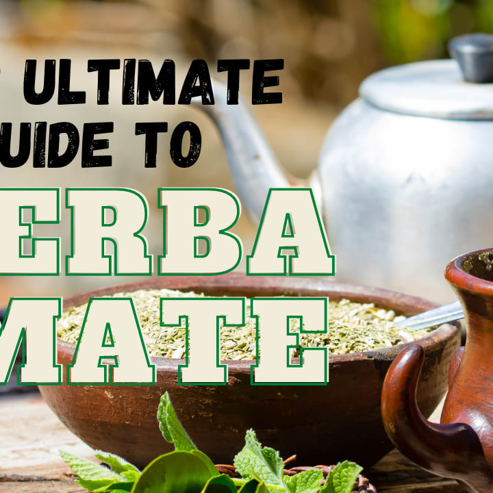 Yerba Mate - What Are The Benefits?