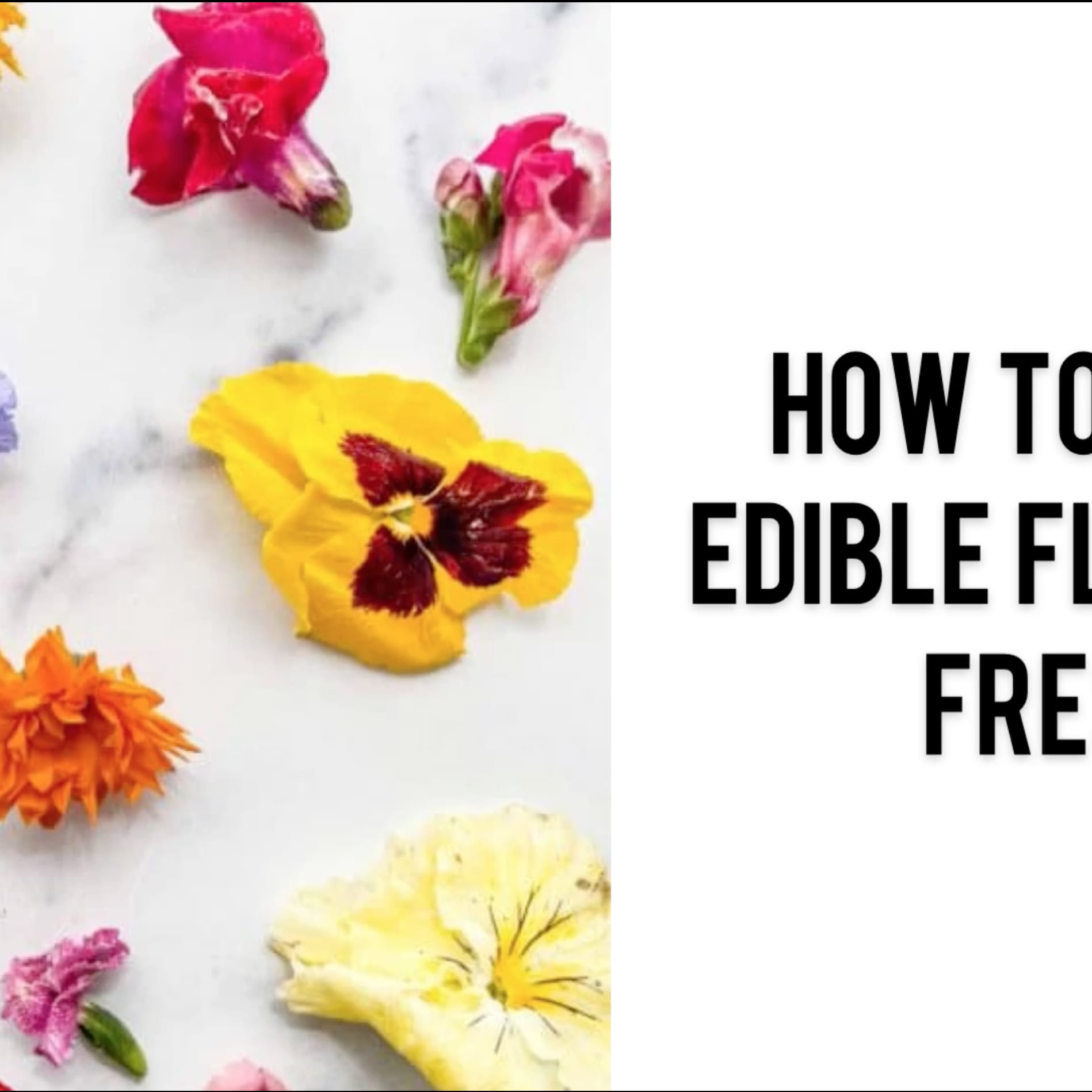How to Keep Edible Flowers Fresh - This Healthy Table
