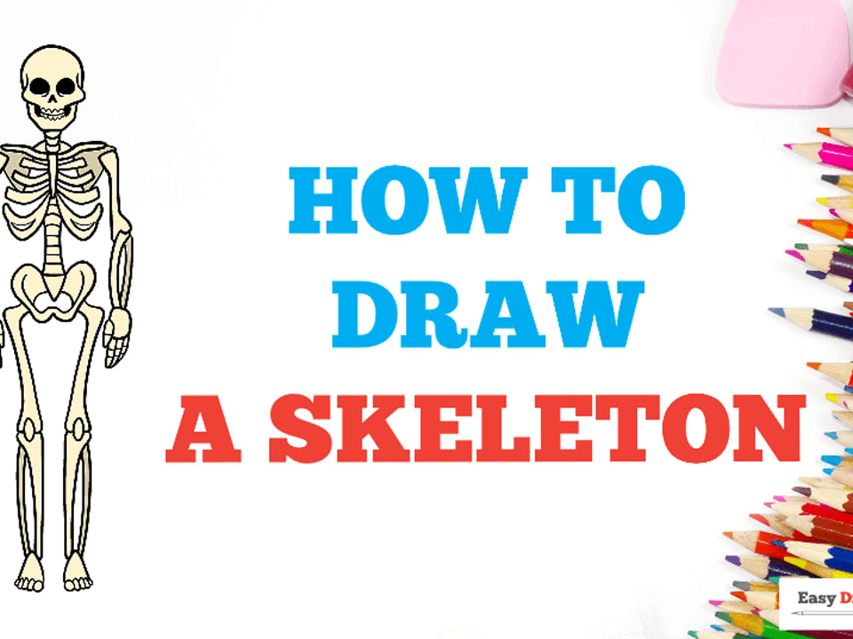 single human skeleton sketch Stock Illustration | Adobe Stock