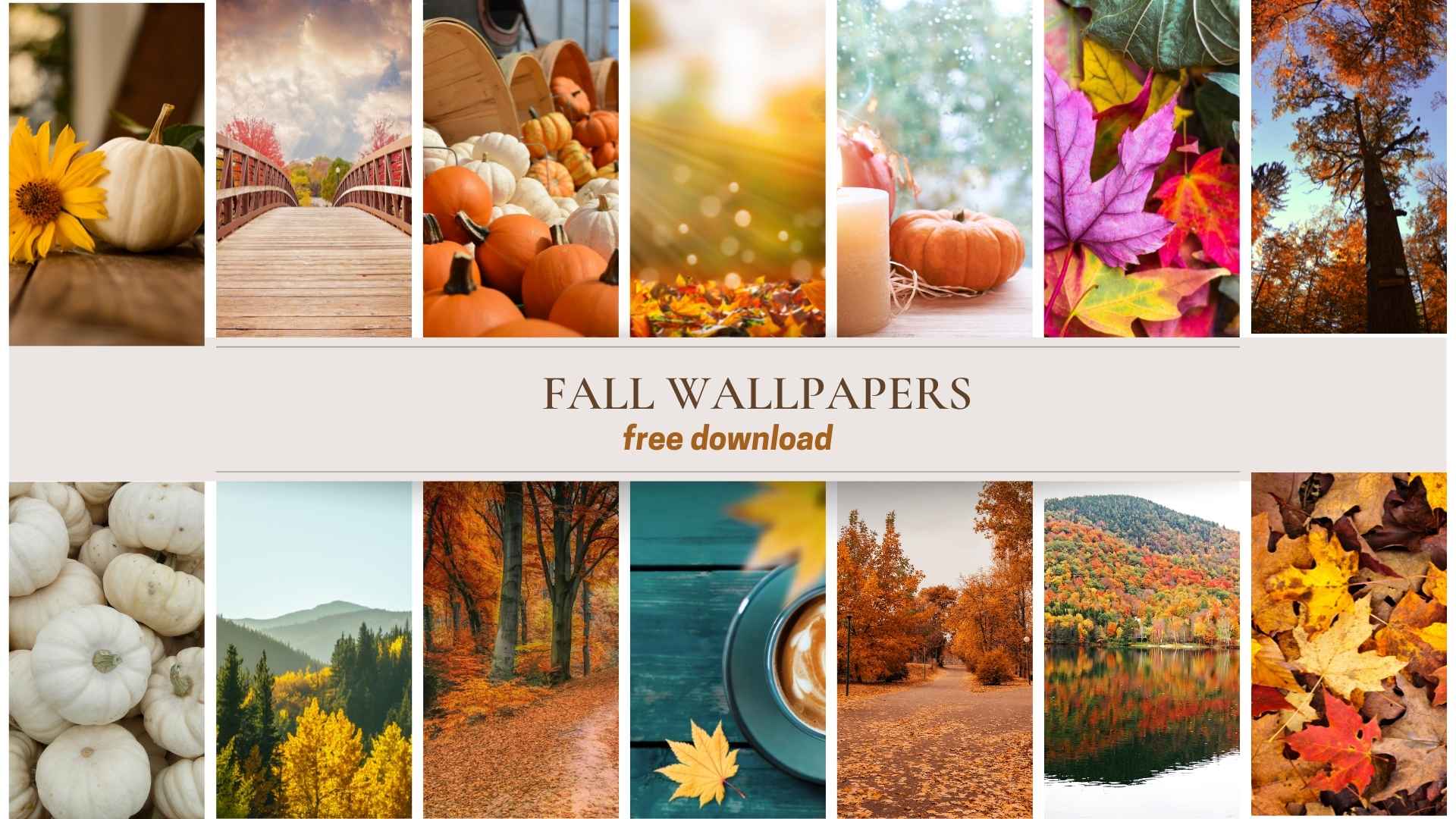 Fall iPhone Wallpapers - 30 Cute Fall iPhone Background Ideas for FREE  Download