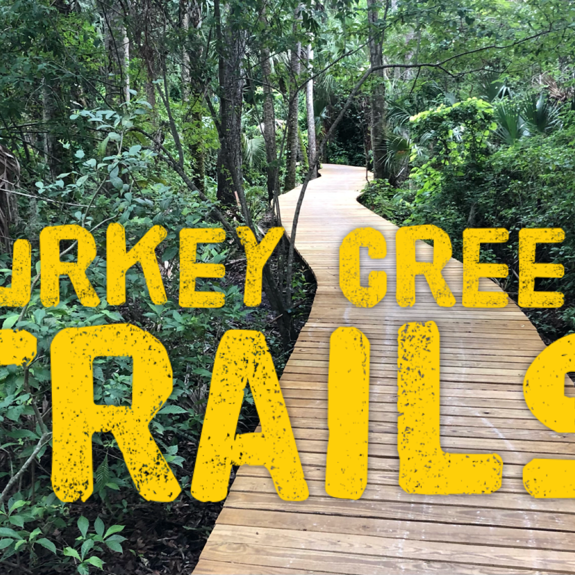 Turkey Creek Trails – Florida Hikes