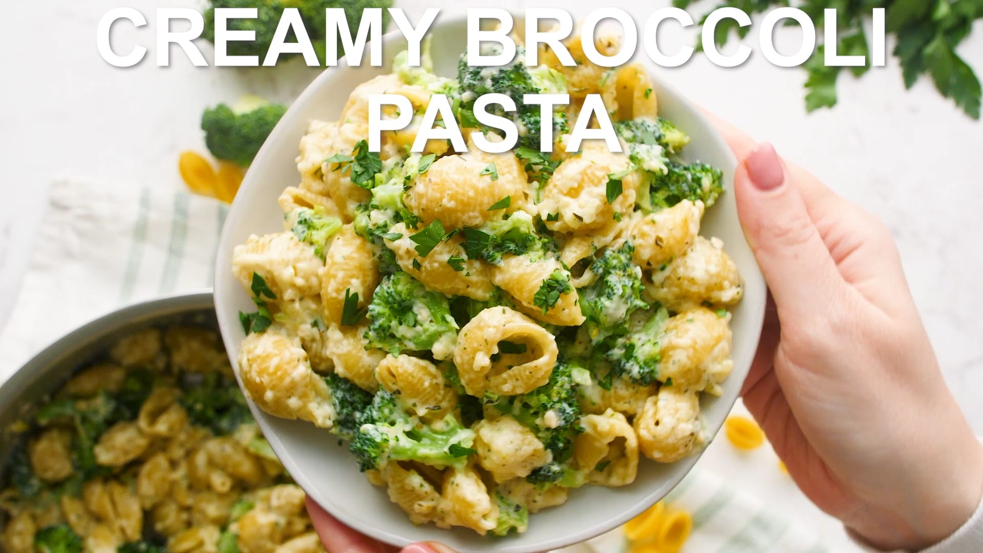 Creamy Broccoli Pasta - One Pot! - The Cozy Cook