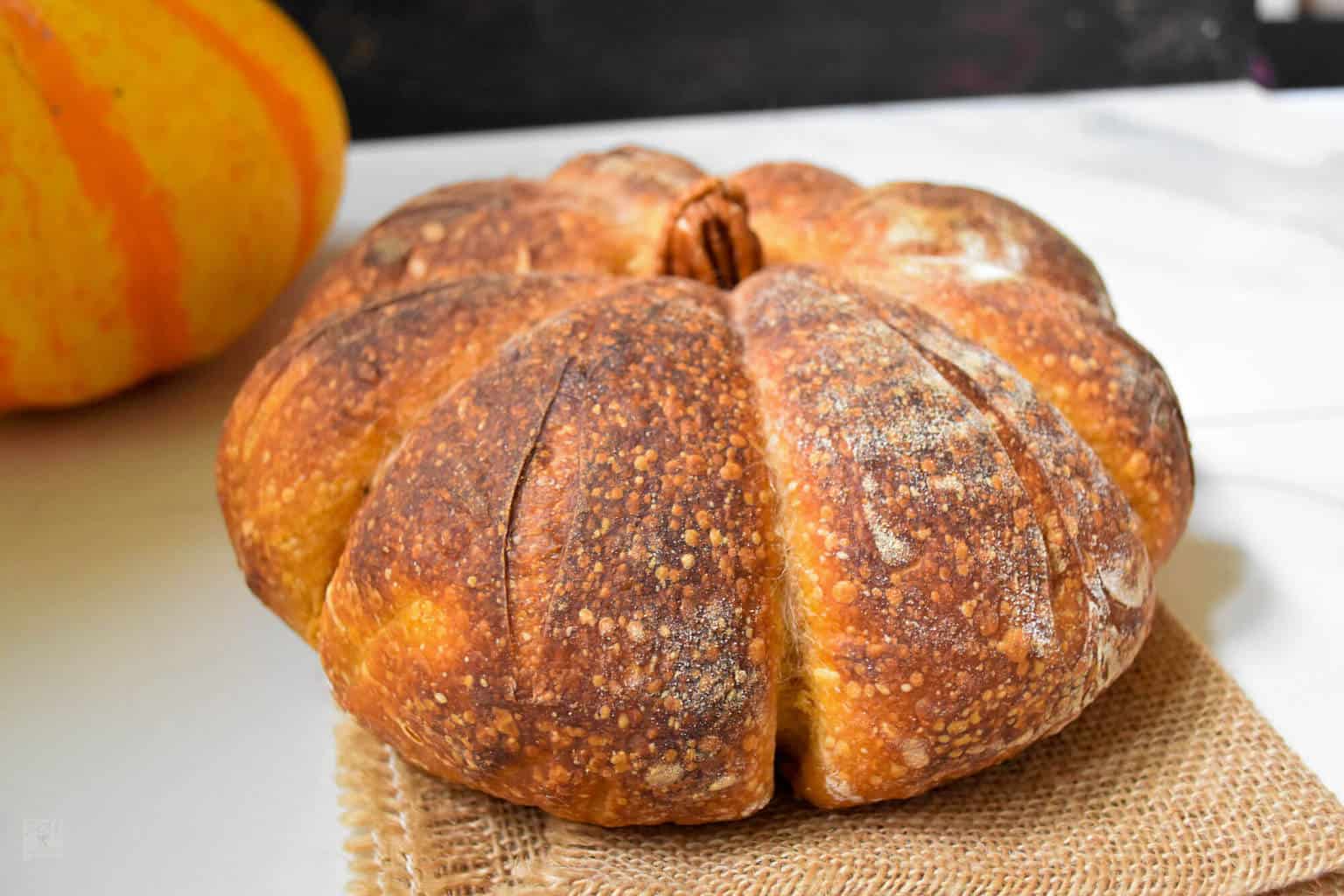 Pumpkin Sourdough Loaf - Bake from Scratch