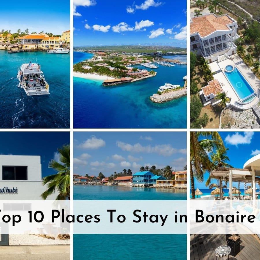 What to do on Bonaire Island