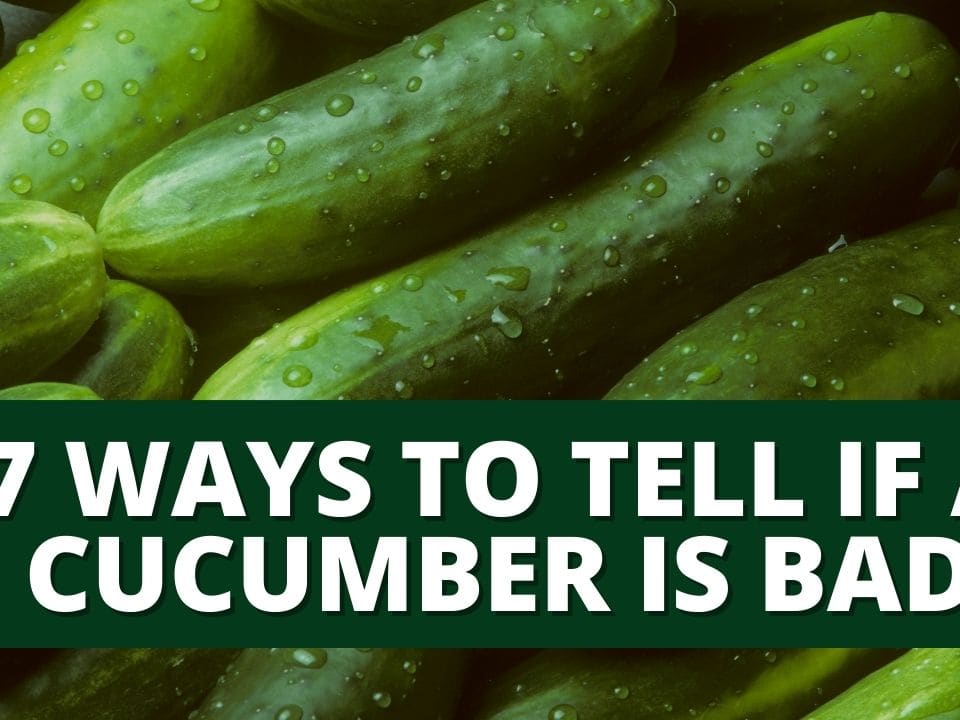 How to Know If Cucumber is Bad? My Heart Lives Here