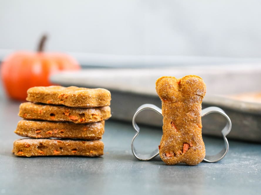 Pumpkin carrot dog treats